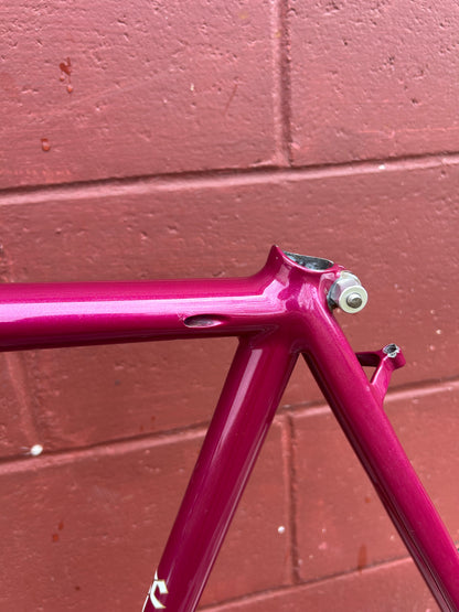 1992 20.5" Santana Moda Frame