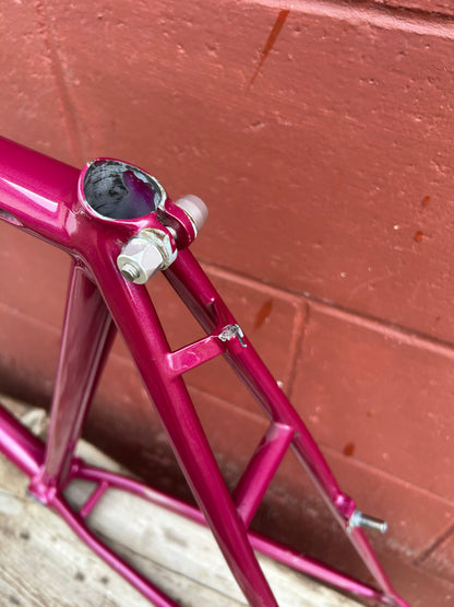 1992 20.5" Santana Moda Frame