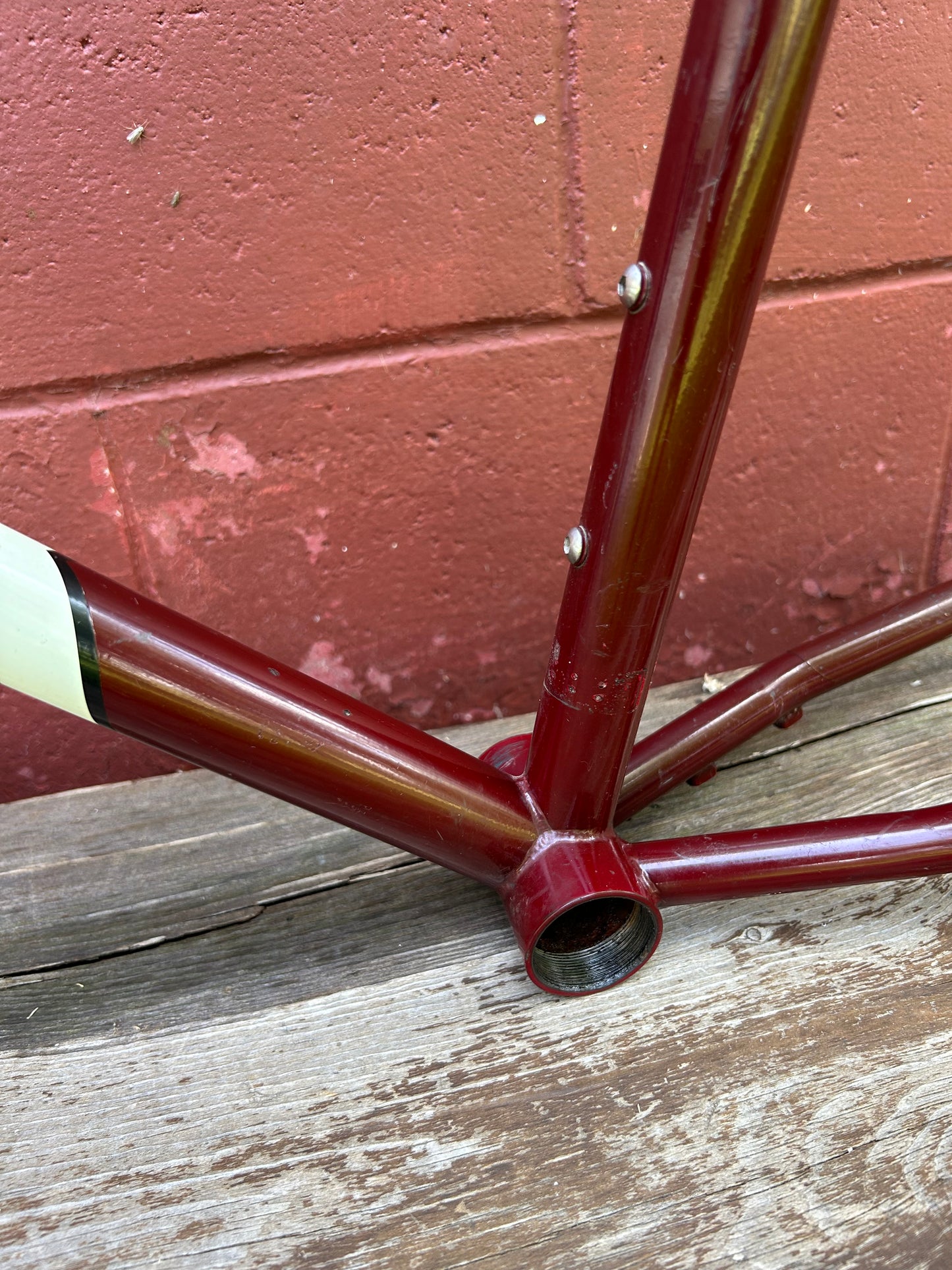 1997 19" Bontrager Privateer S With Rock Shox Indy XC