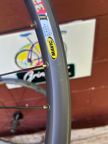 Mavic D321 Disc DT Swiss Onyx 26" Wheelset