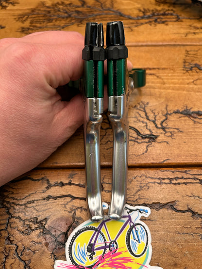Real Design Silver and Green Brake Levers