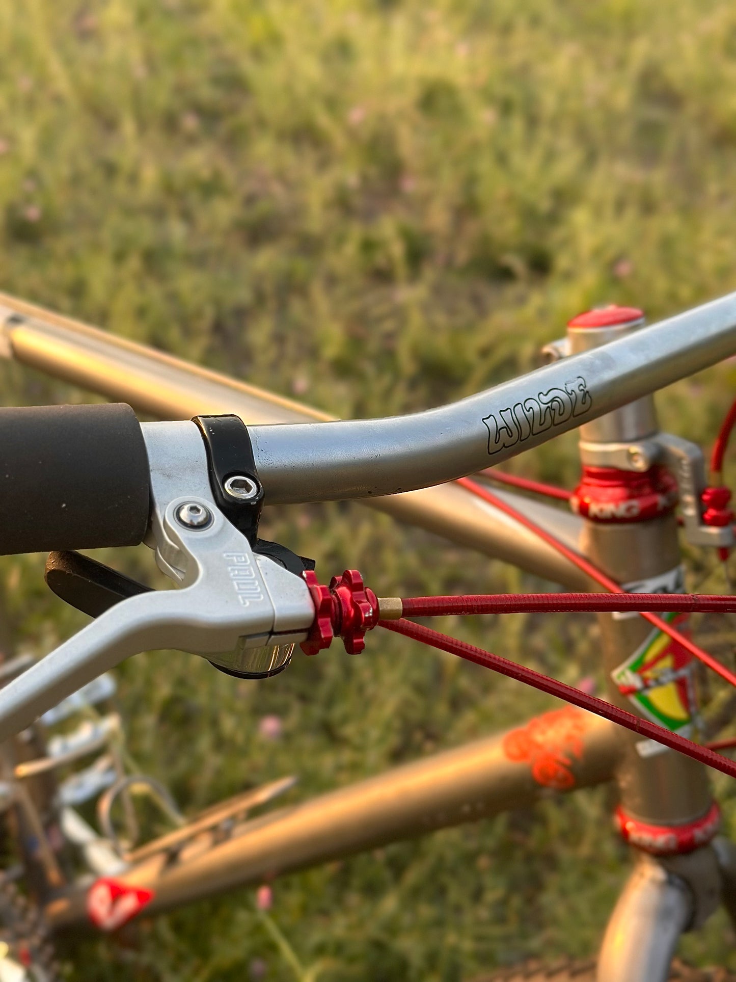 1995 19" Parkpre Elite Titanium Mountain Bike