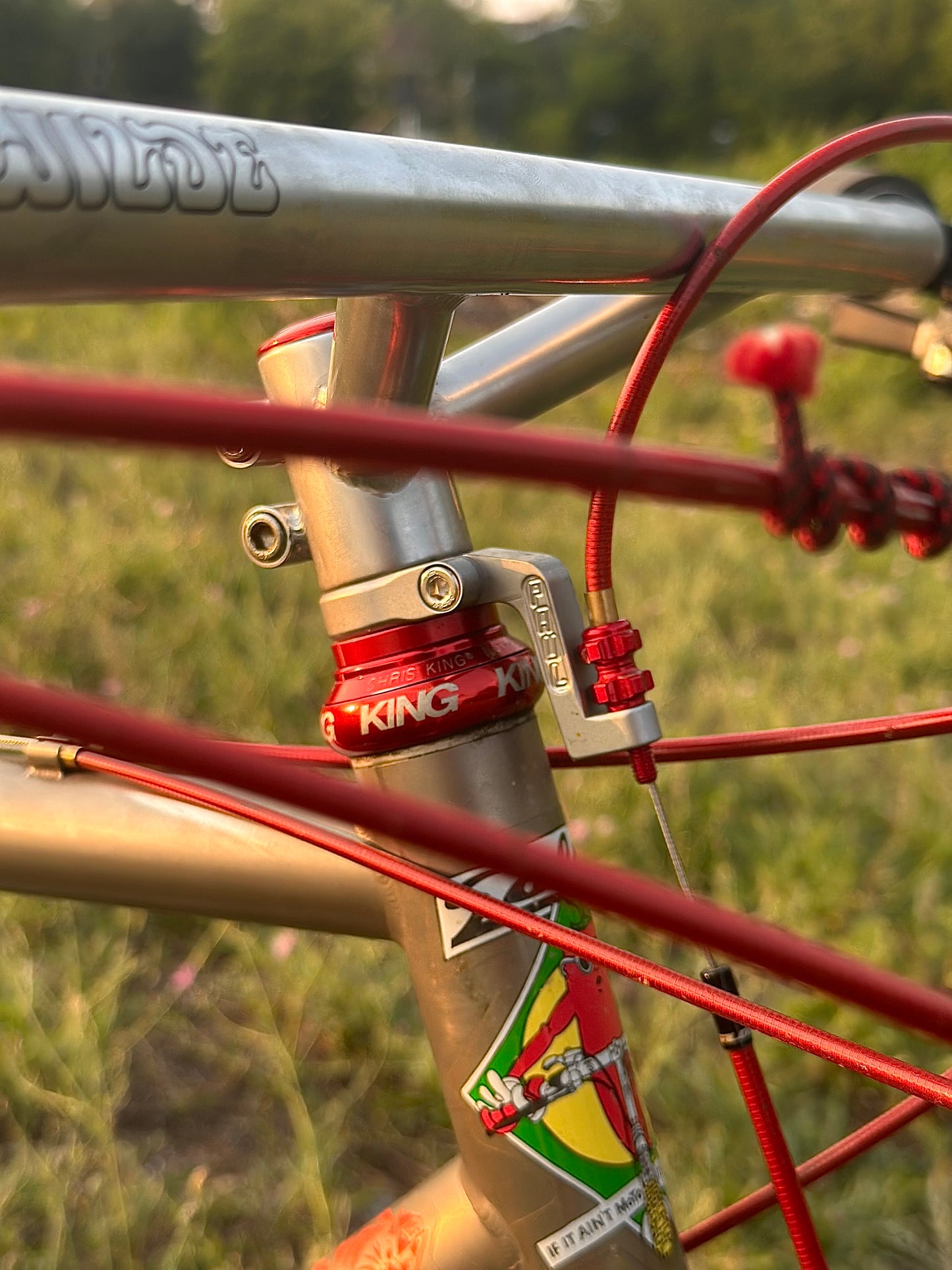 1995 19" Parkpre Elite Titanium Mountain Bike