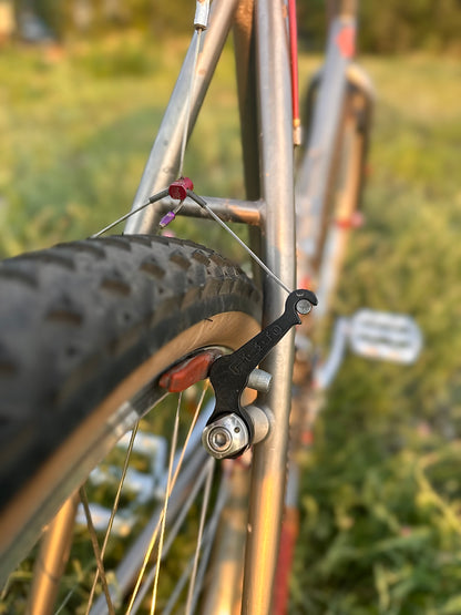 1995 19" Parkpre Elite Titanium Mountain Bike
