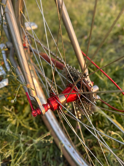 1995 19" Parkpre Elite Titanium Mountain Bike