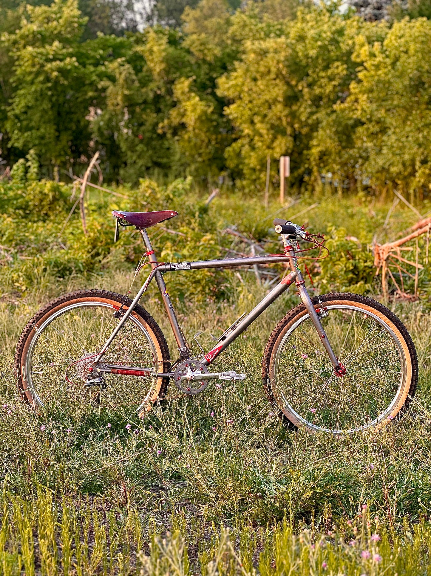 1995 19" Parkpre Elite Titanium Mountain Bike