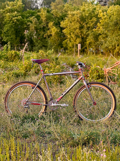 1995 19" Parkpre Elite Titanium Mountain Bike