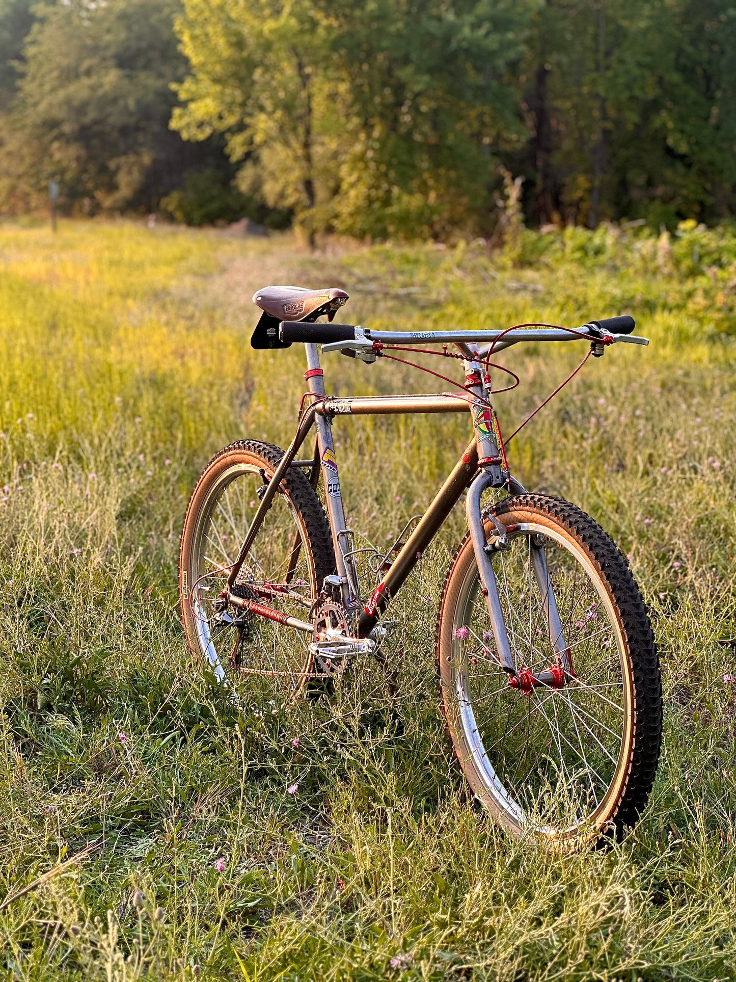 1995 19" Parkpre Elite Titanium Mountain Bike