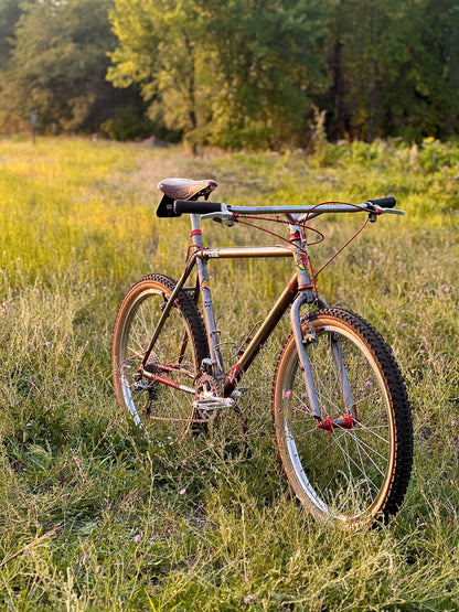 1995 19" Parkpre Elite Titanium Mountain Bike
