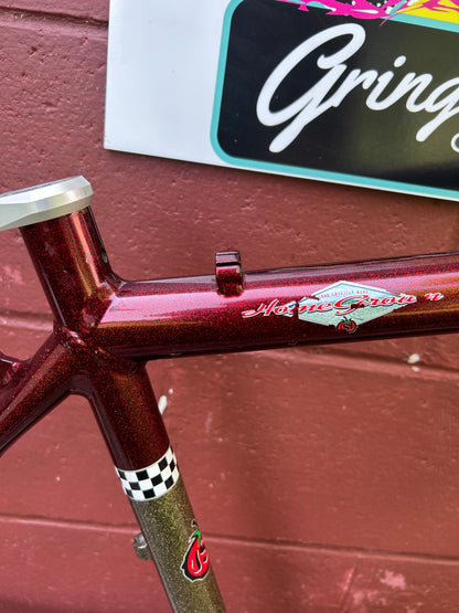 1998 19" Schwinn Homegrown Factory Red Bass Boat Frame