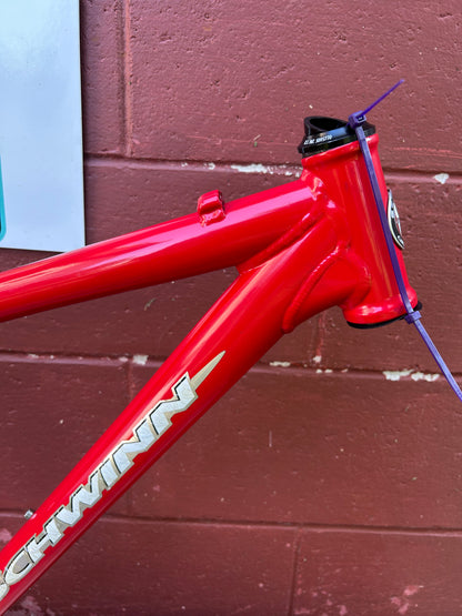 2000 17" Schwinn Homegrown Frame