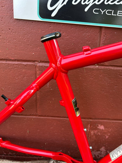 2000 17" Schwinn Homegrown Frame