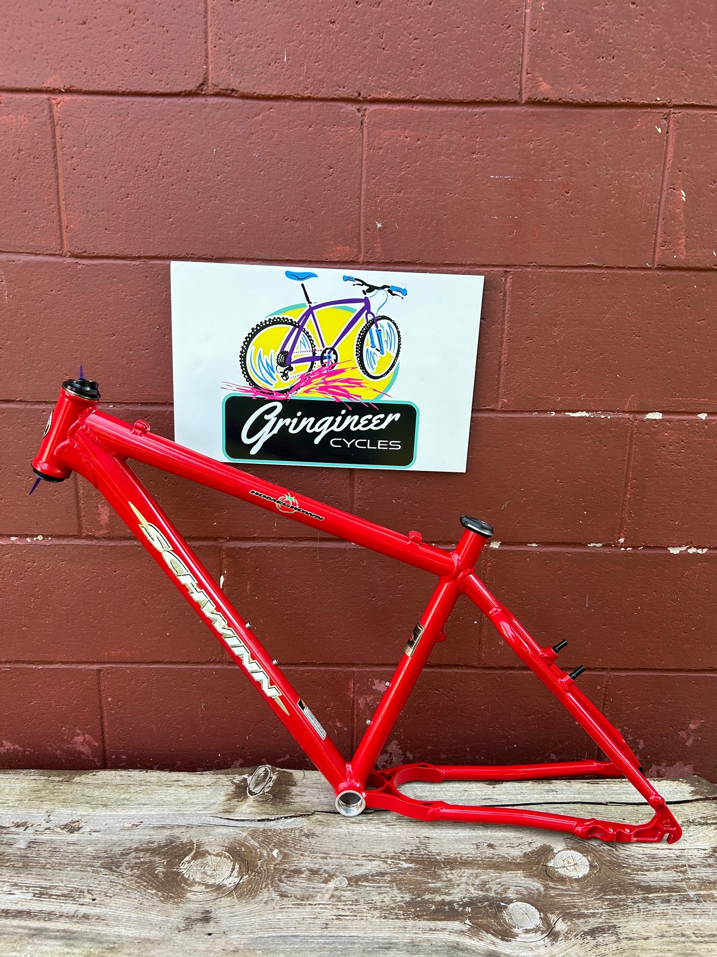 2000 17" Schwinn Homegrown Frame