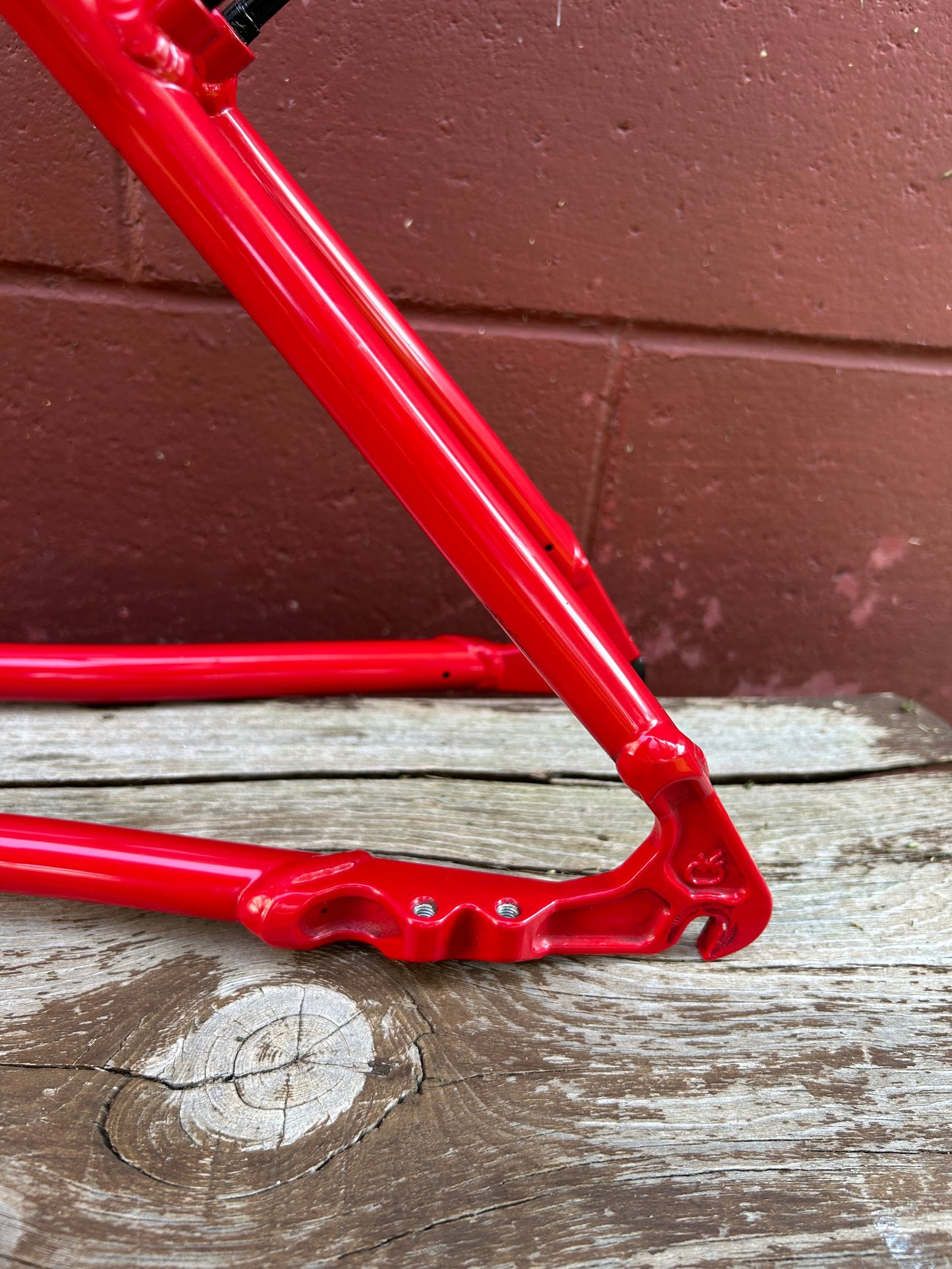2000 17" Schwinn Homegrown Frame