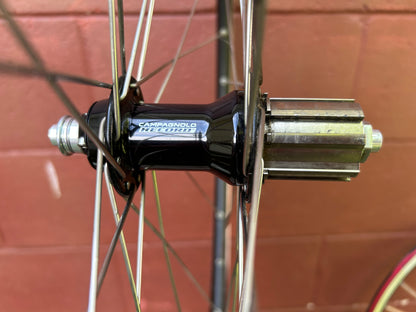 Campagnolo Record 700c 32 Spoke QR Rim Brake Wheelset