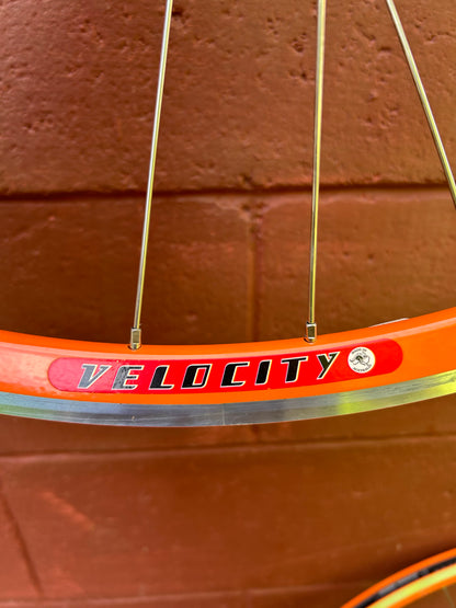 Velocity Fusion White Industries Phil Wood 700c QR Rim Brake Wheelset