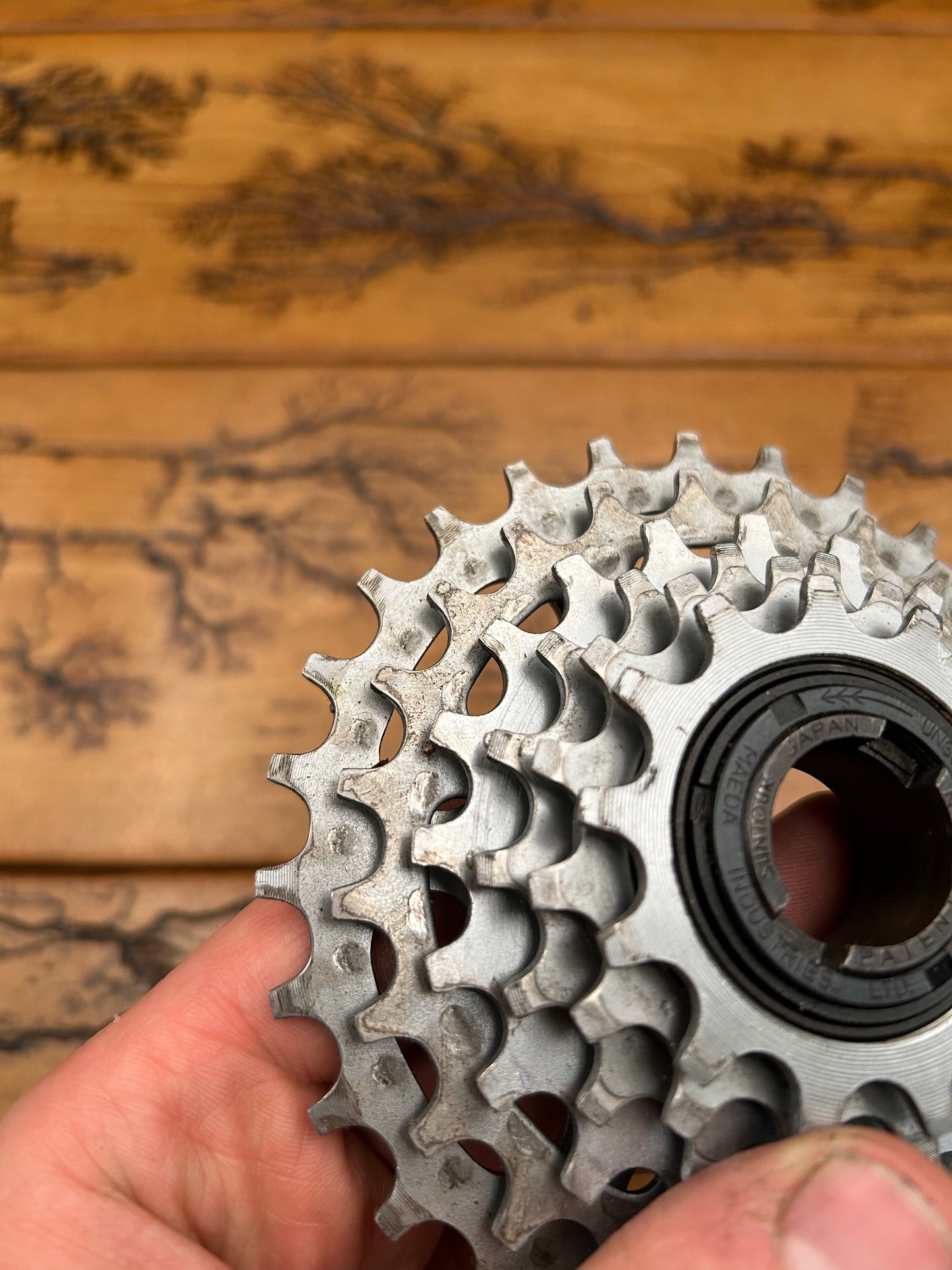Suntour 13-28 6 Speed Freewheel