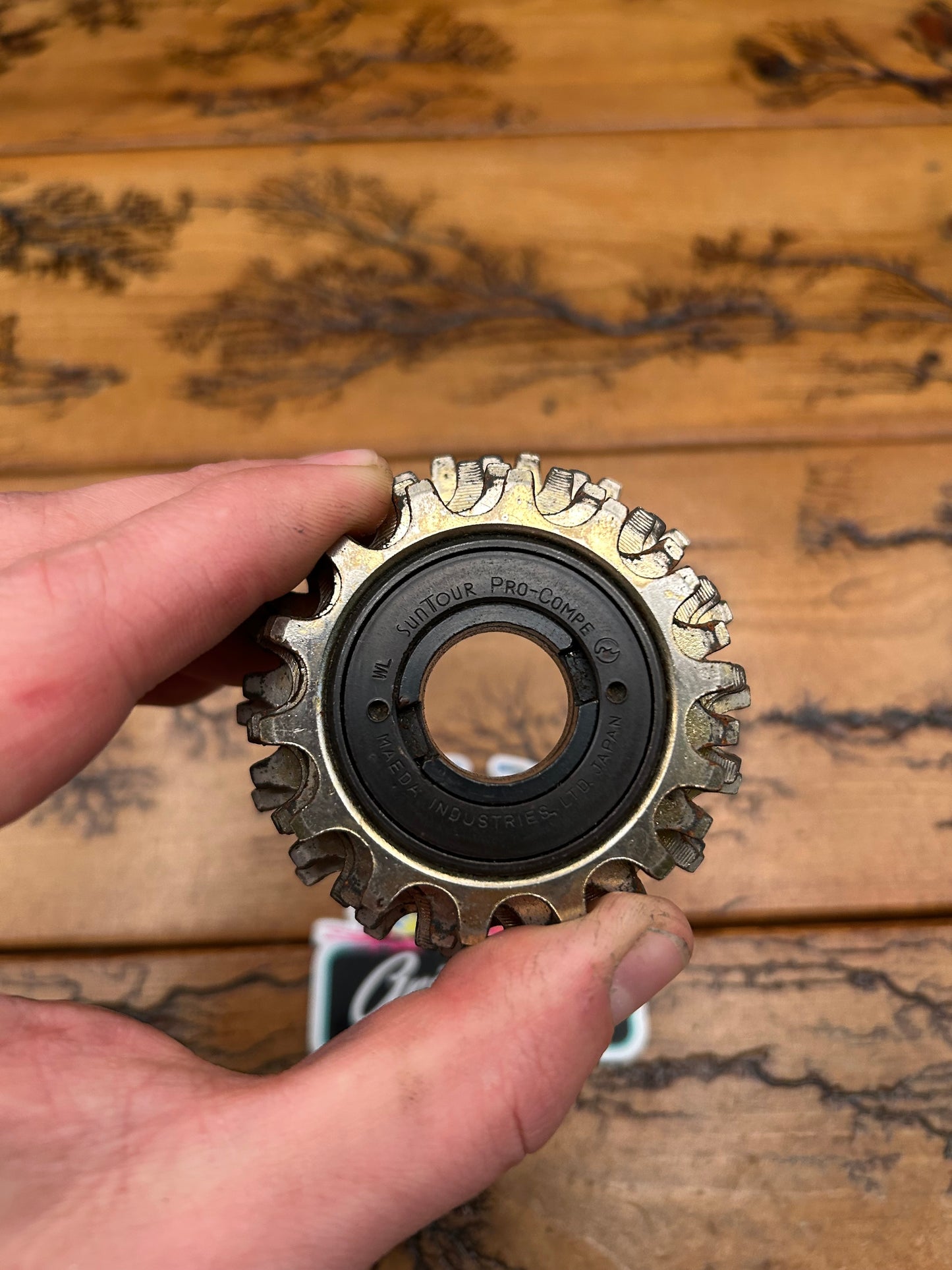 Suntour Pro-Compe 14-18 5 Speed Freewheel