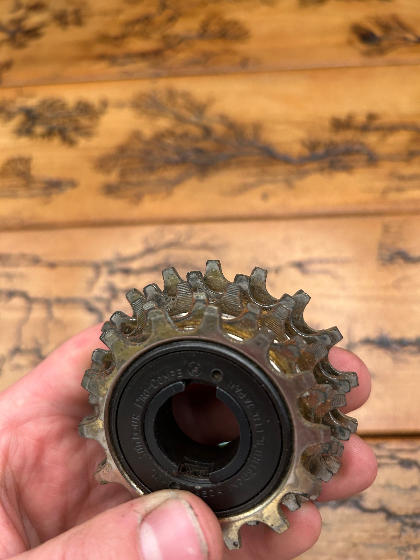 Suntour Pro-Compe 14-18 5 Speed Freewheel