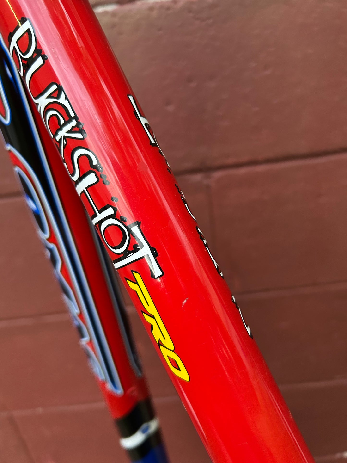 18" Tomac Buckshot Pro Frame With Extras