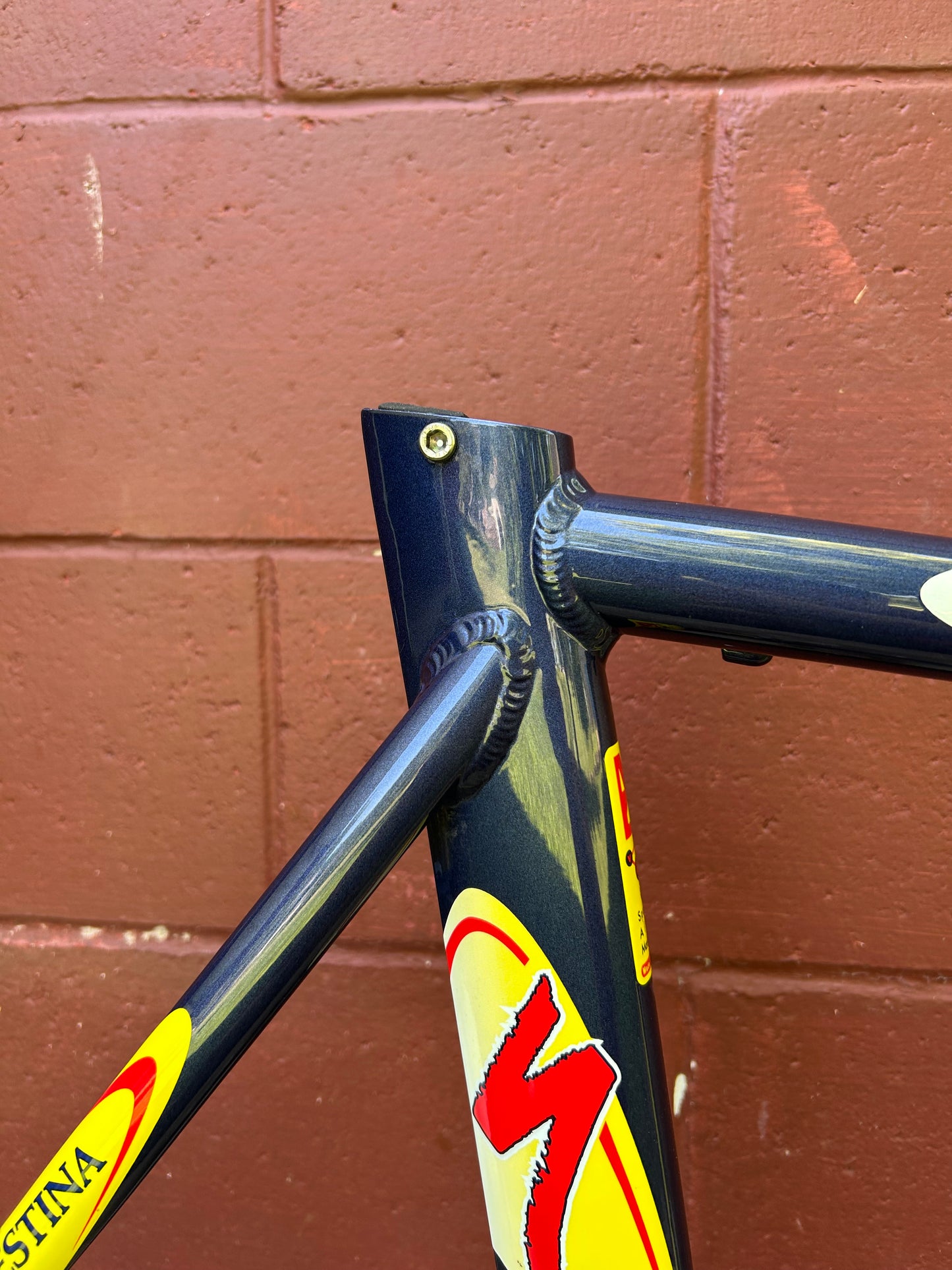 54cm Specialized S-Works Team Festina Frameset