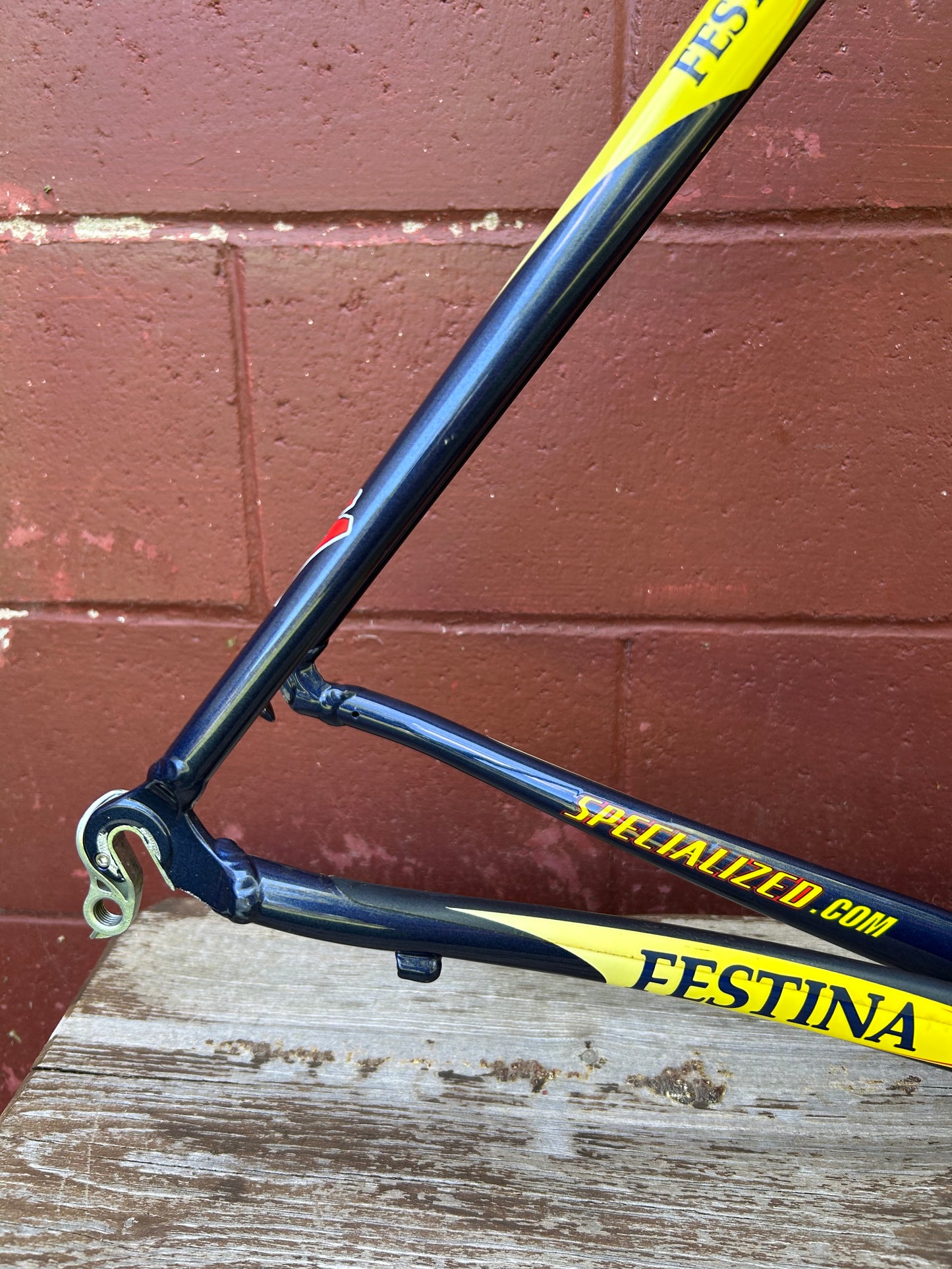 54cm Specialized S-Works Team Festina Frameset
