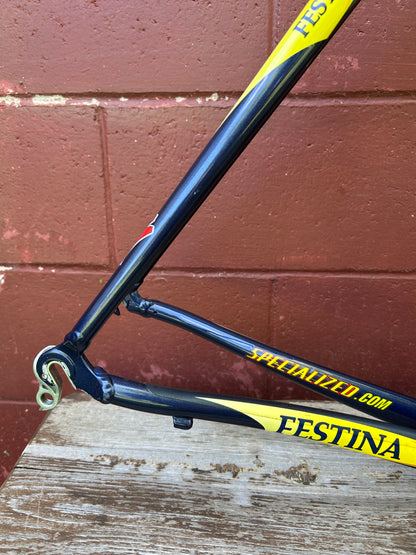 54cm Specialized S-Works Team Festina Frameset