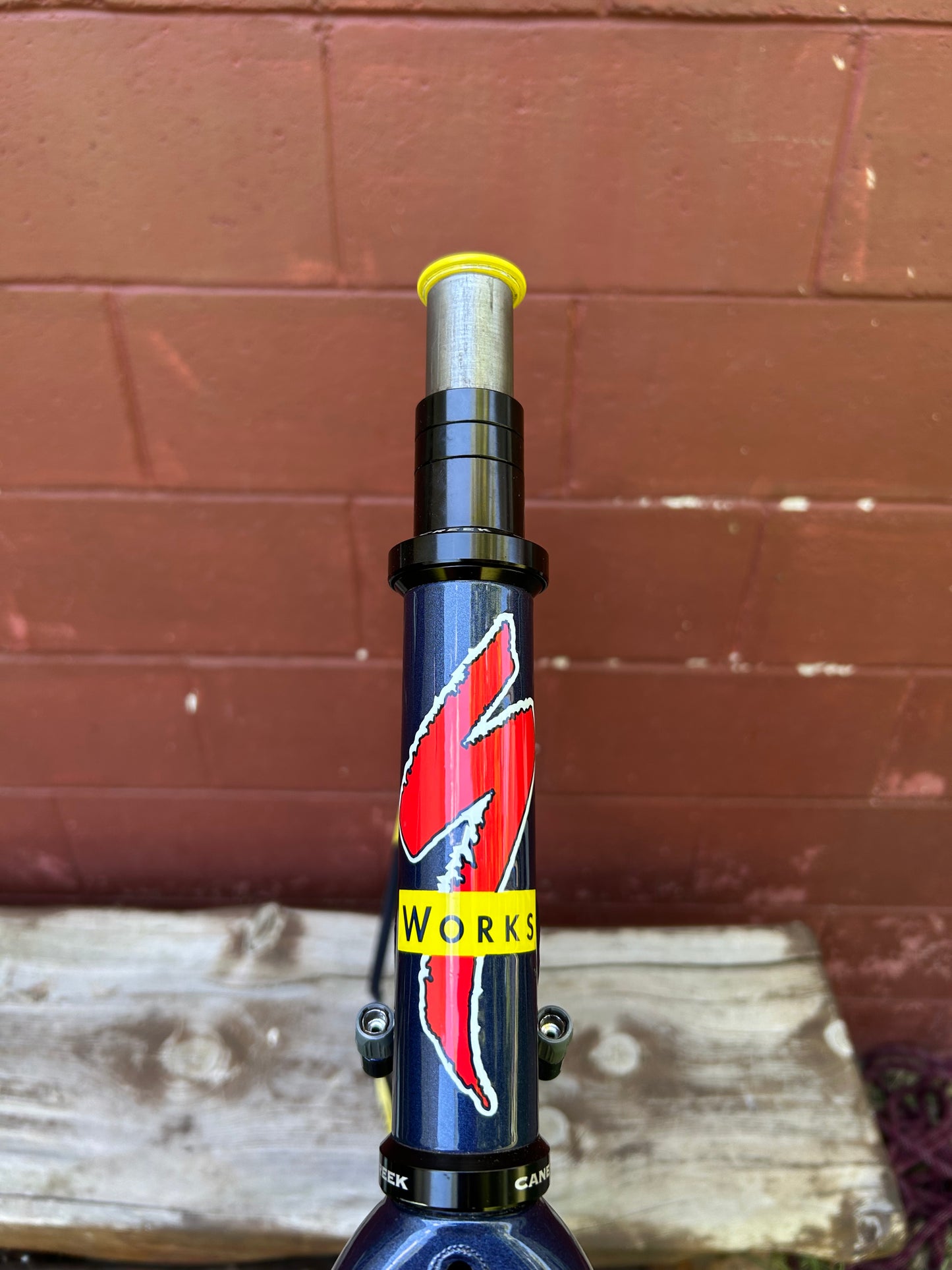 54cm Specialized S-Works Team Festina Frameset