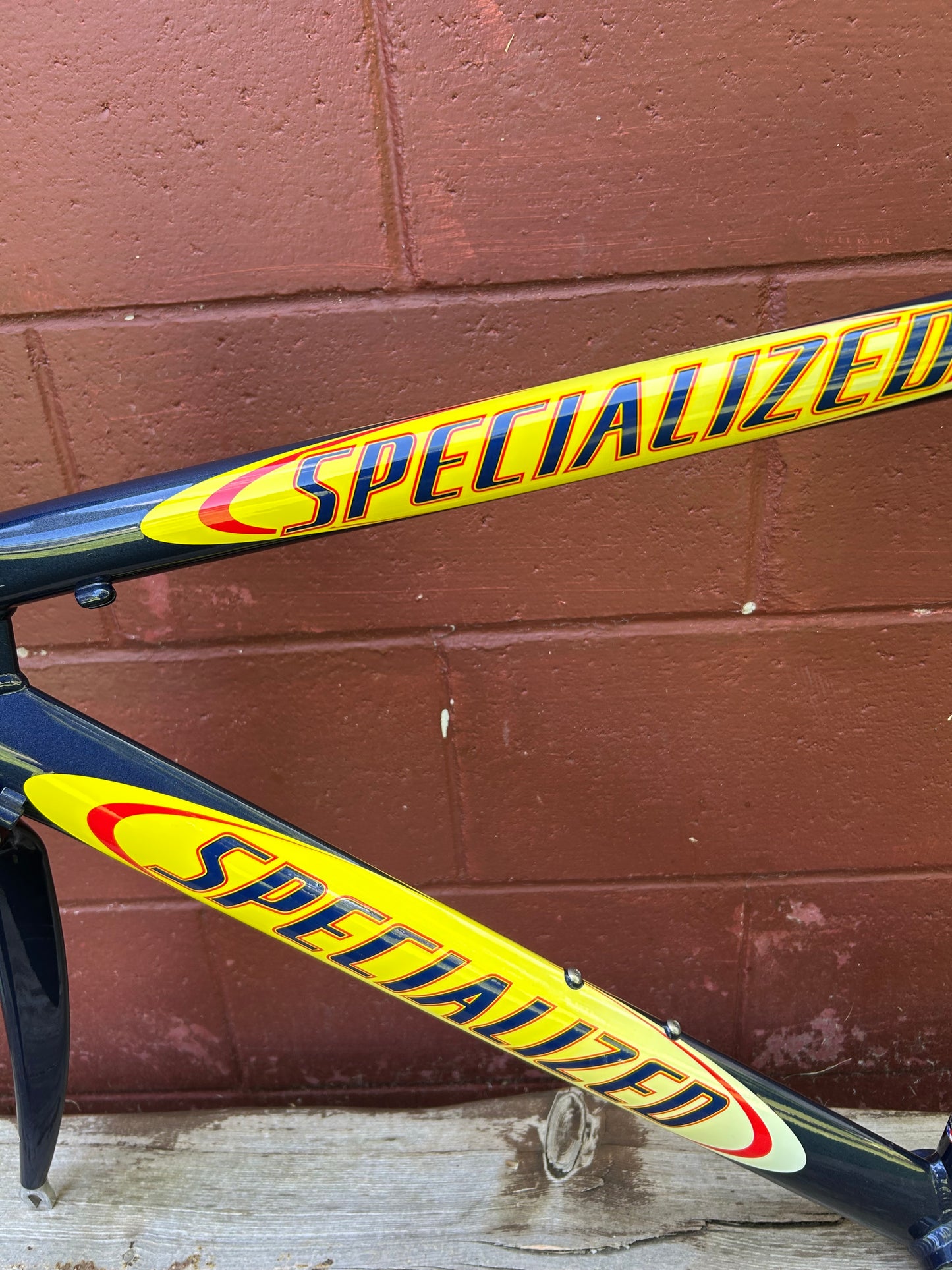 54cm Specialized S-Works Team Festina Frameset