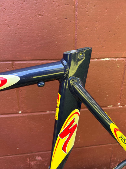 54cm Specialized S-Works Team Festina Frameset