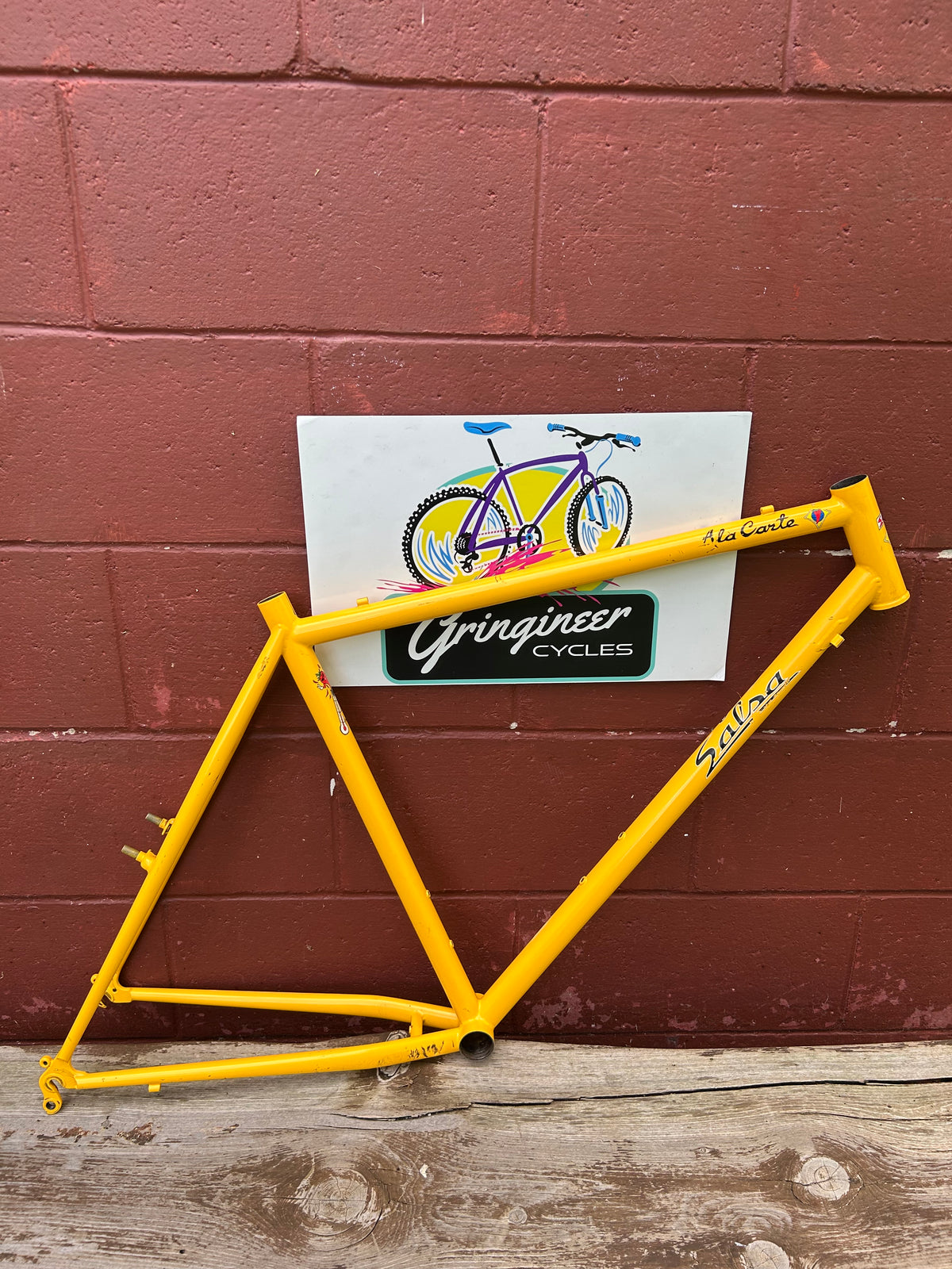 1999/2000? 20.5" Salsa Ala Carte Frame