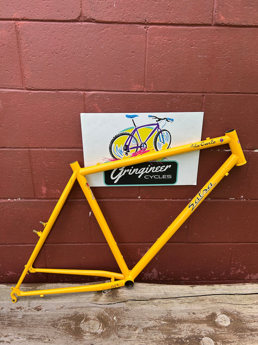 1999/2000? 20.5" Salsa Ala Carte Frame