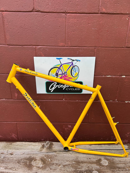 1999/2000? 20.5" Salsa Ala Carte Frame