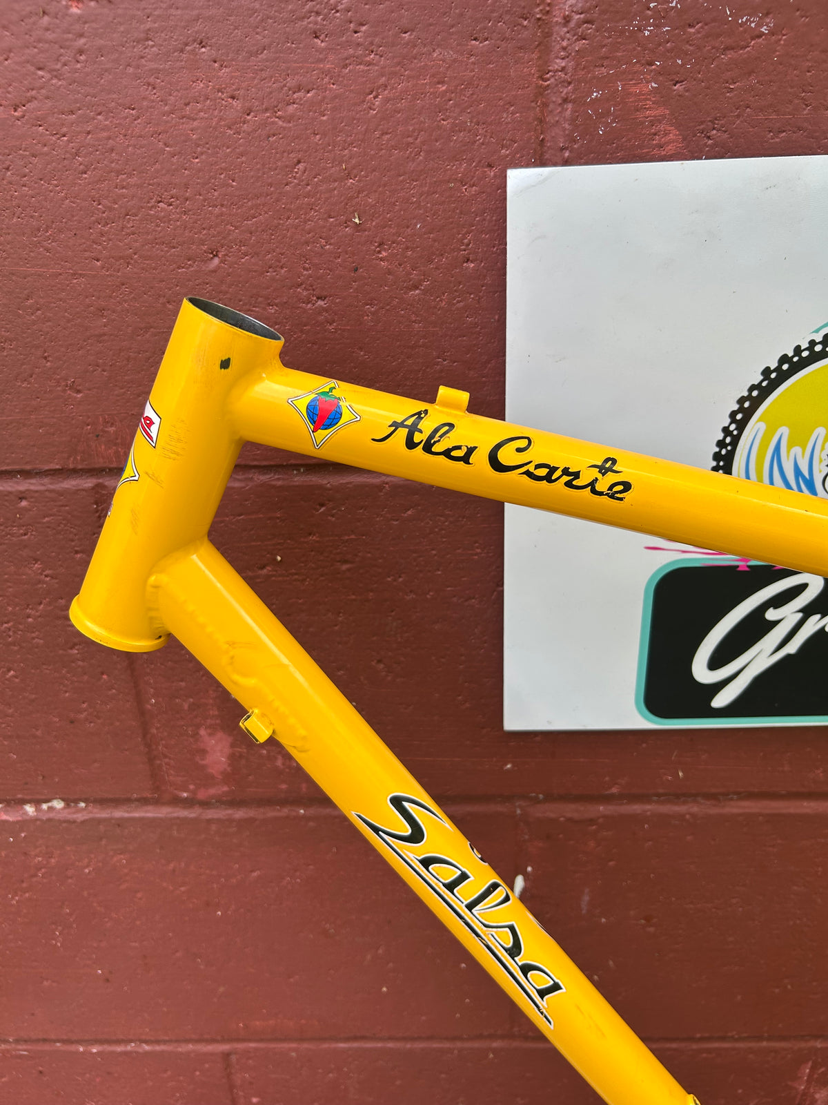 1999/2000? 20.5" Salsa Ala Carte Frame