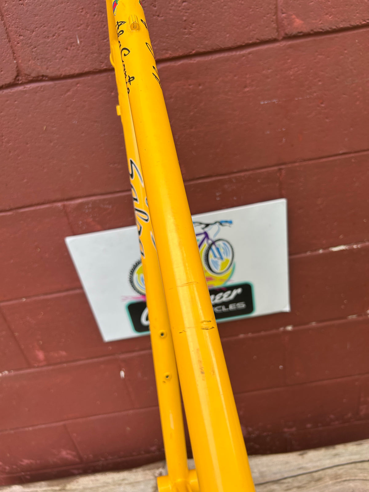 1999/2000? 20.5" Salsa Ala Carte Frame
