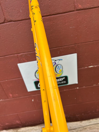 1999/2000? 20.5" Salsa Ala Carte Frame
