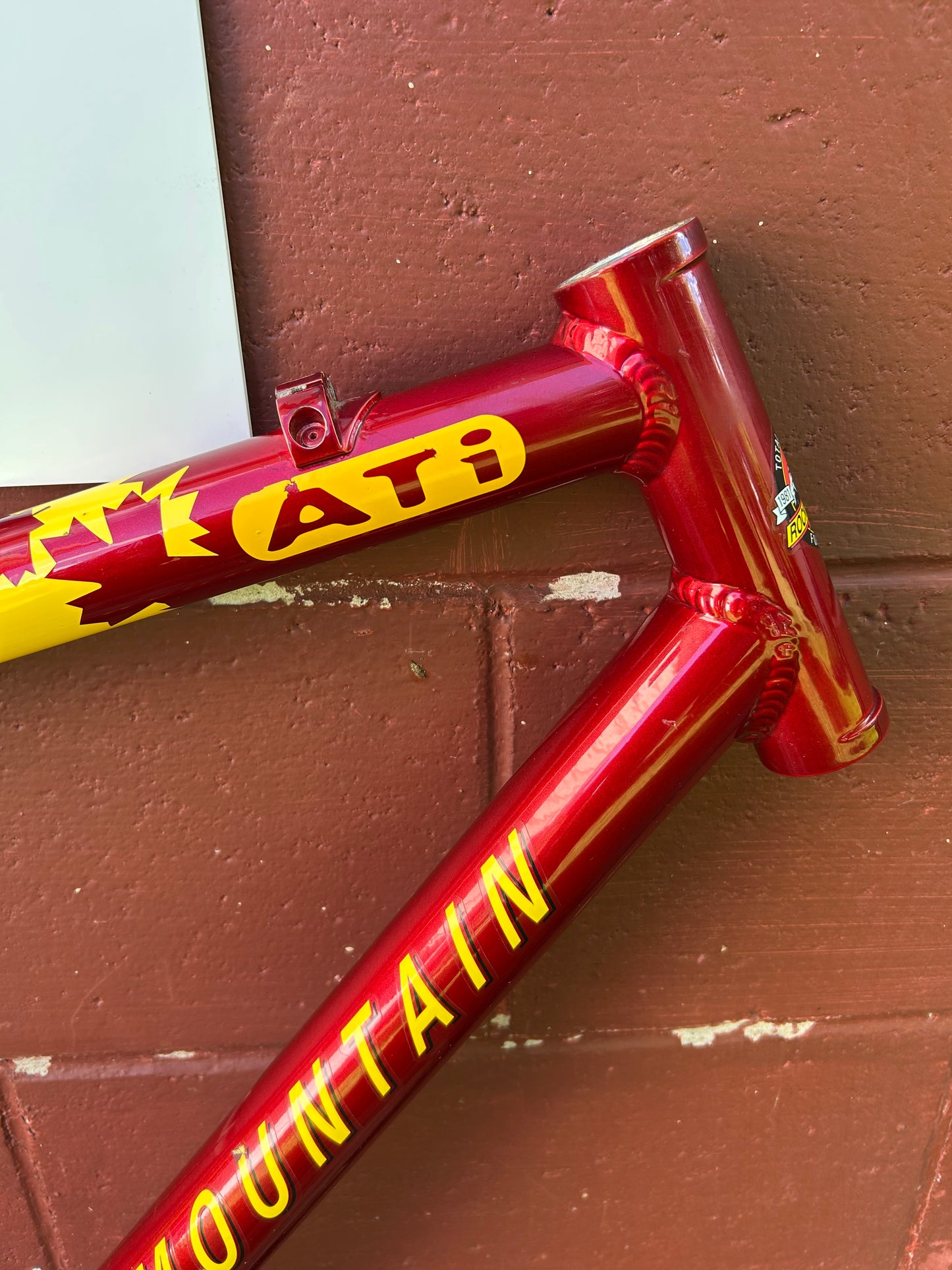 1997 21" Rocky Mountain Vertex T.O. Frame
