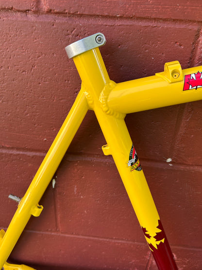 1997 21" Rocky Mountain Vertex T.O. Frame