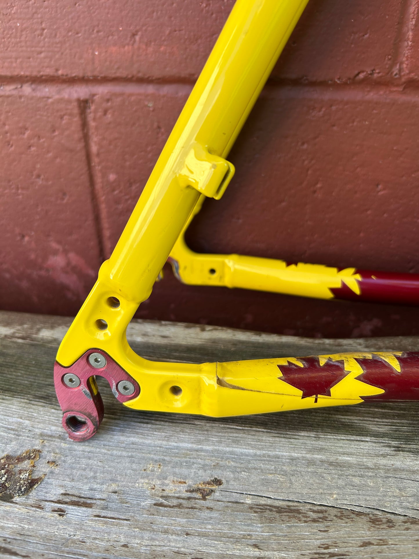 1997 21" Rocky Mountain Vertex T.O. Frame