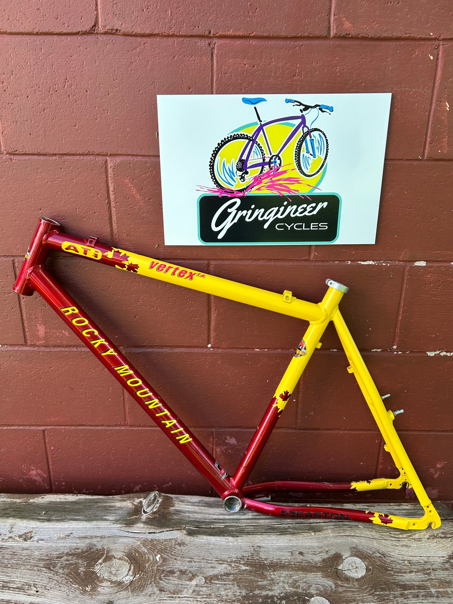 1997 21" Rocky Mountain Vertex T.O. Frame