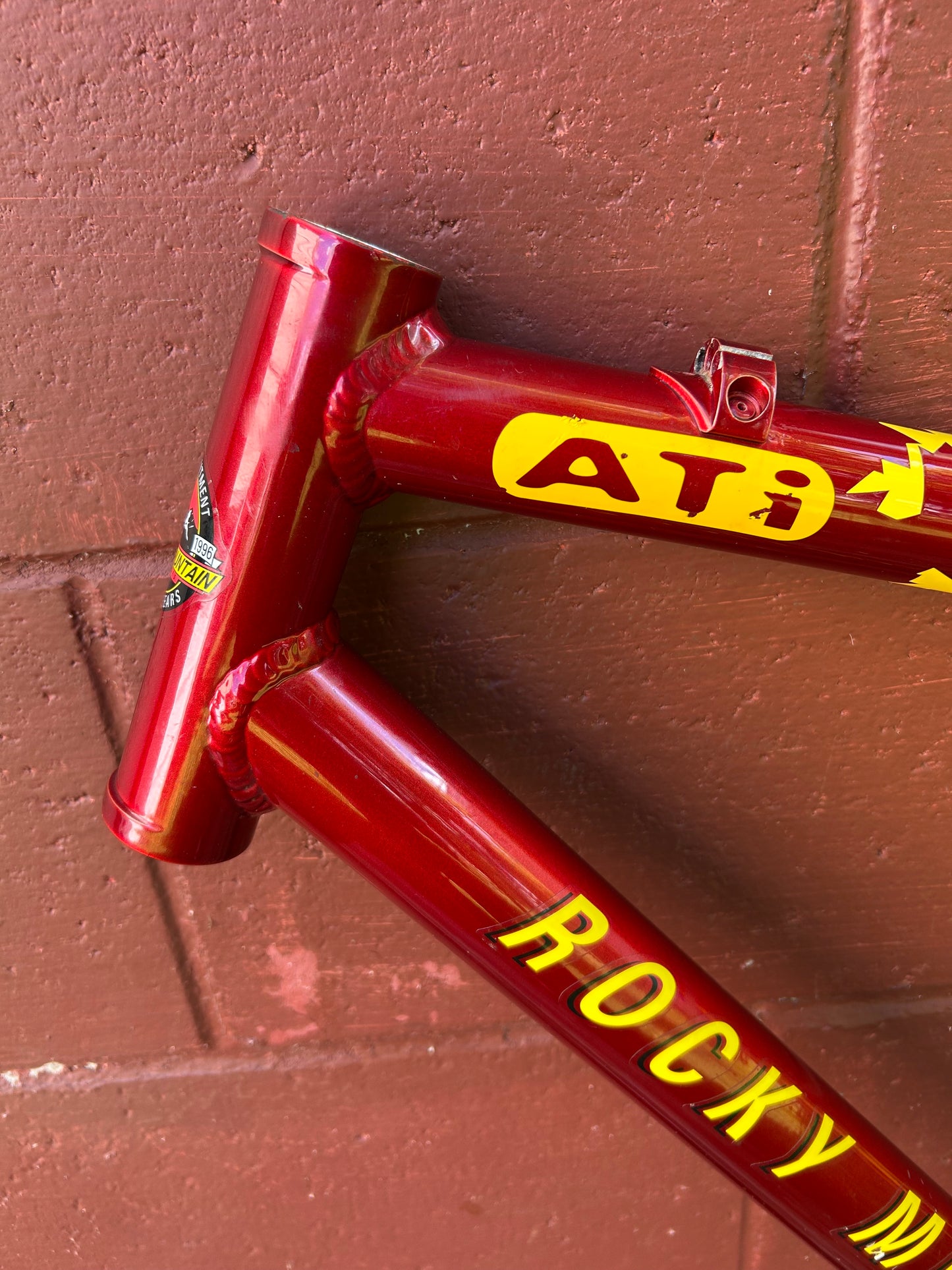 1997 21" Rocky Mountain Vertex T.O. Frame