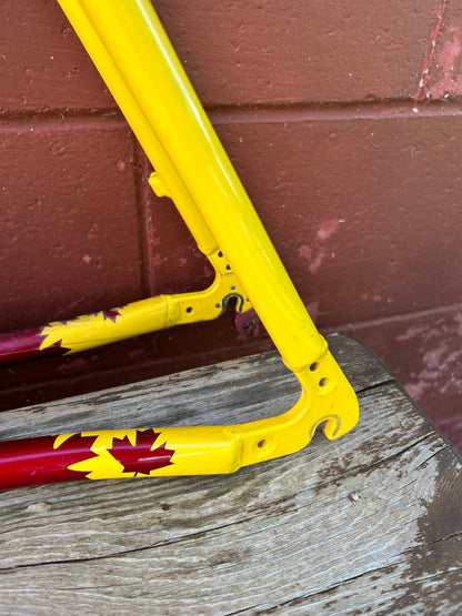 1997 21" Rocky Mountain Vertex T.O. Frame