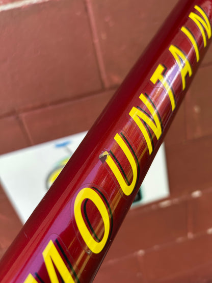 1997 21" Rocky Mountain Vertex T.O. Frame