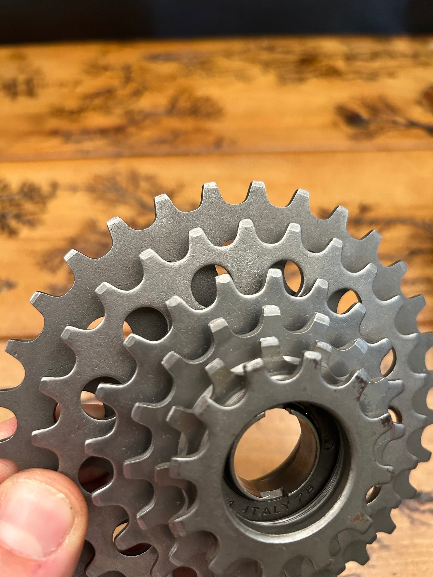 Regina Corsa Extra 12-31 6 Speed Freewheel NOS