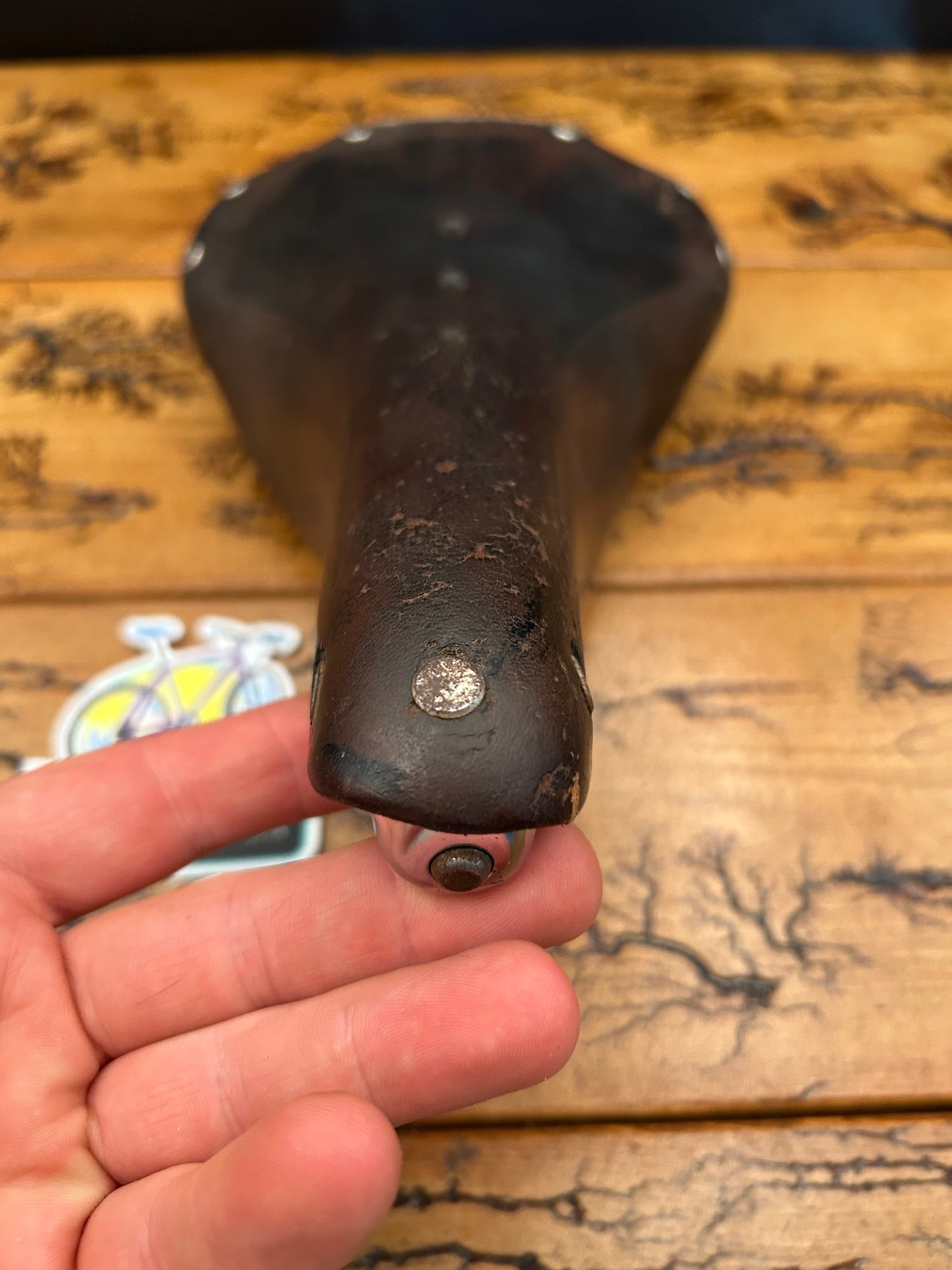 Brooks Professional? Leather Saddle