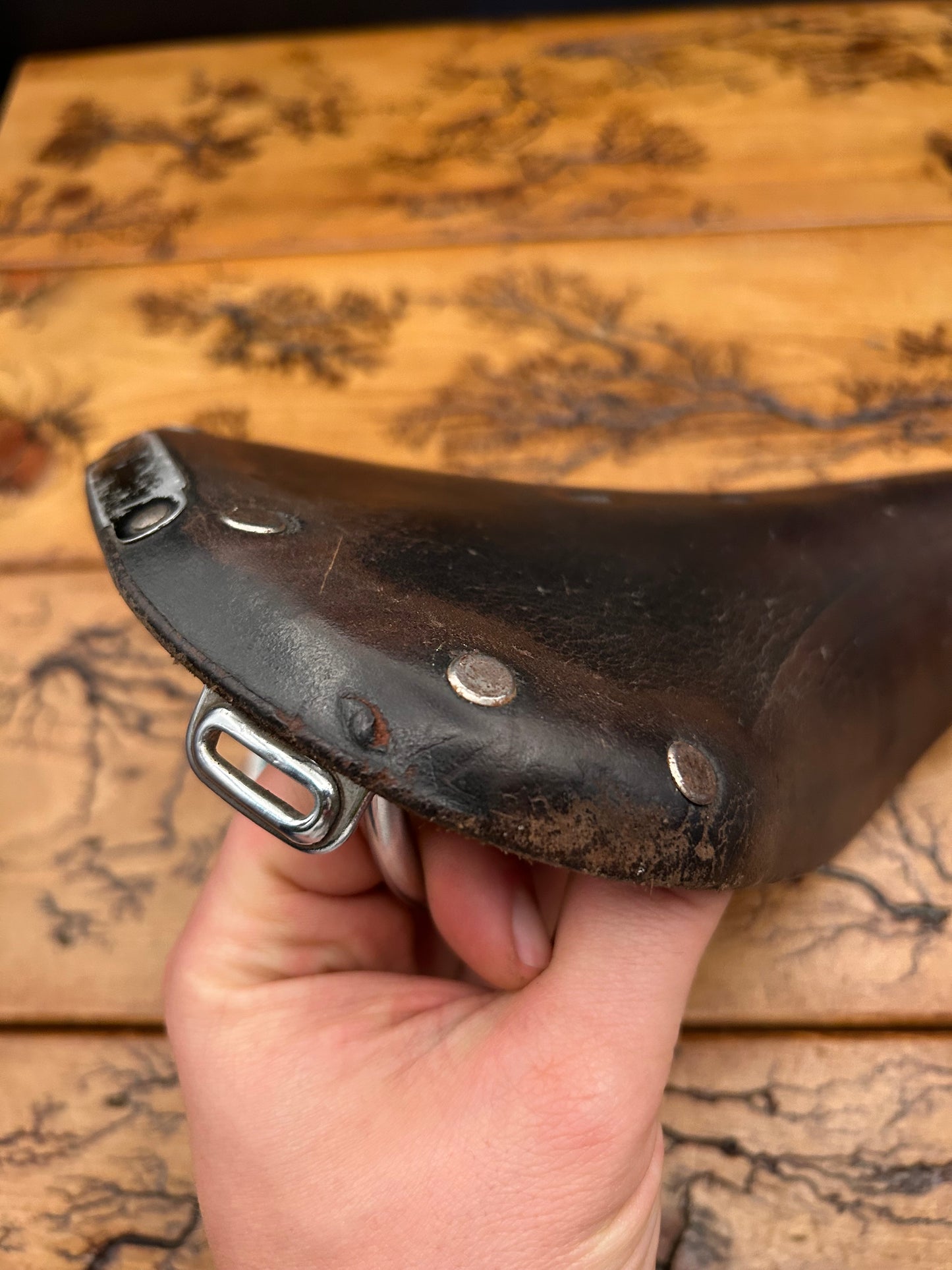 Brooks Professional? Leather Saddle