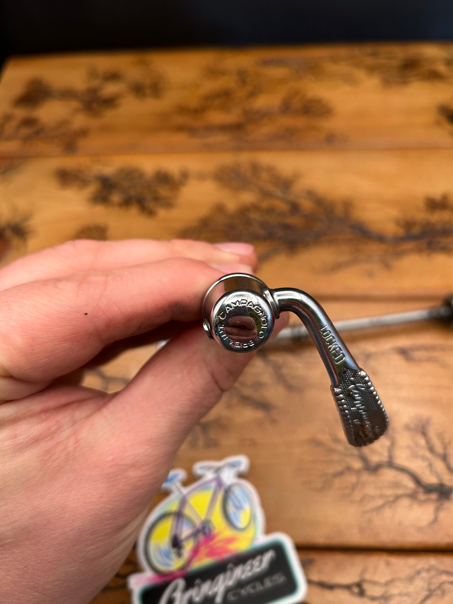 Campagnolo Record Quick Release Skewer Set