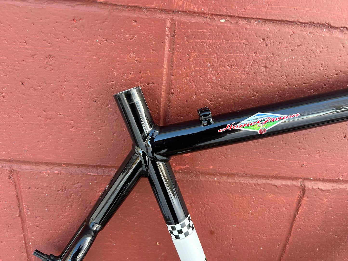 21" 1999 Schwinn Homegrown Black Frame