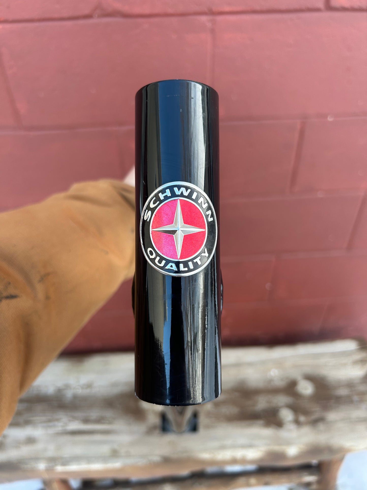 21" 1999 Schwinn Homegrown Black Frame