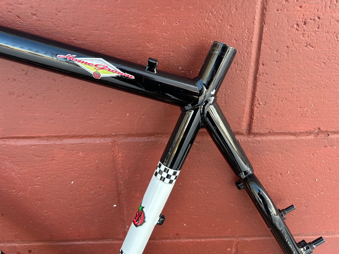 21" 1999 Schwinn Homegrown Black Frame